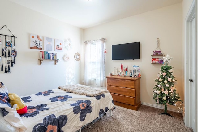 bedroom with carpet flooring