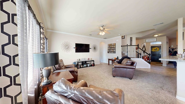 carpeted living room featuring ceiling fan and ornamental molding