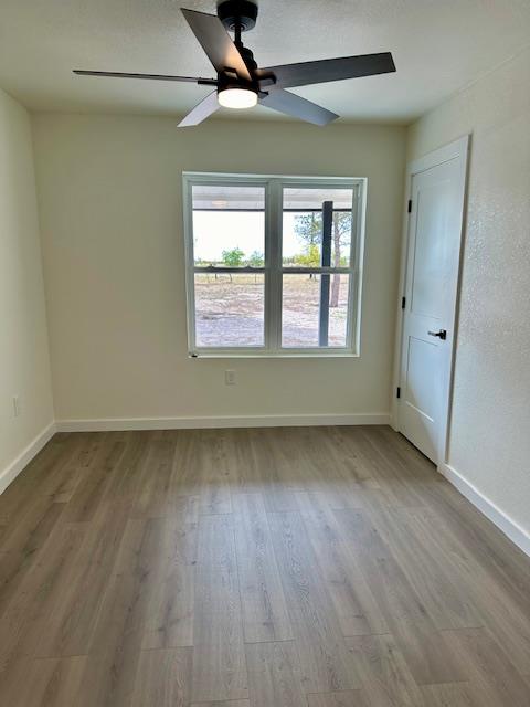 unfurnished room with ceiling fan and light hardwood / wood-style flooring