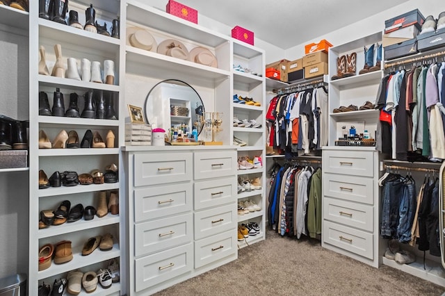 spacious closet featuring light colored carpet