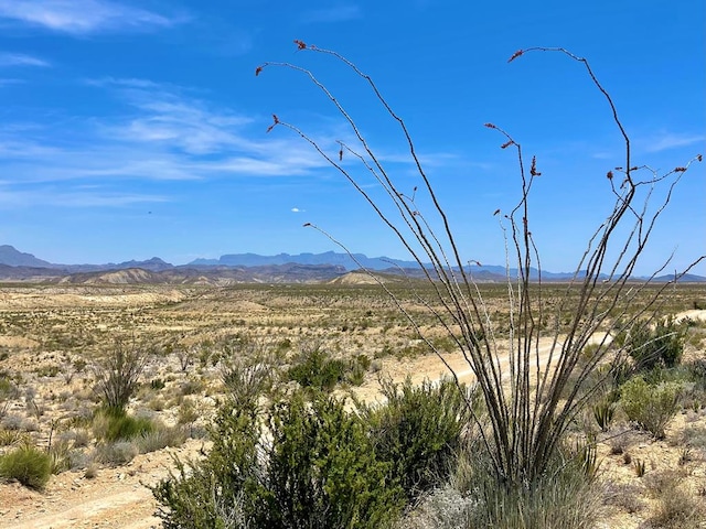 TR2423 Hermans Peak Rd, Terlingua TX, 79852 land for sale