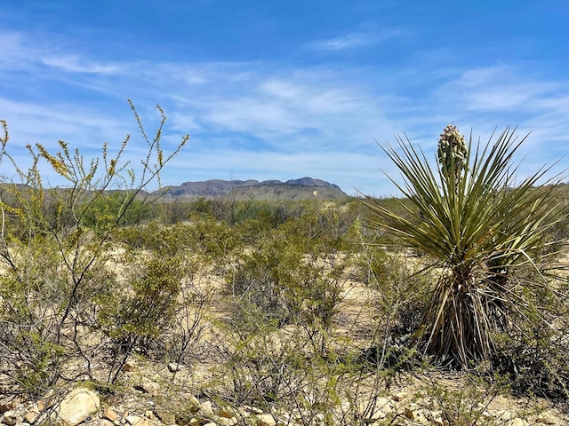 Listing photo 3 for TR2423 Hermans Peak Rd, Terlingua TX 79852