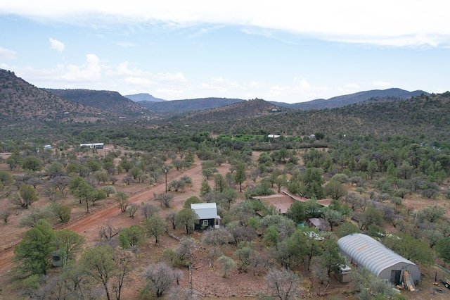 101 Stage Coach Pass, Fort Davis, TX 79734 - view of mountain background