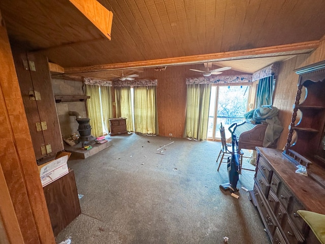 101 Stage Coach Pass, Fort Davis, TX 79734 - basement featuring wooden ceiling, carpet, wooden walls, ceiling fan, and a wood stove