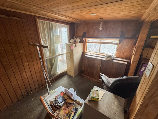 101 Stage Coach Pass, Fort Davis, TX 79734 - misc room featuring wood ceiling, wood walls, and dark carpet