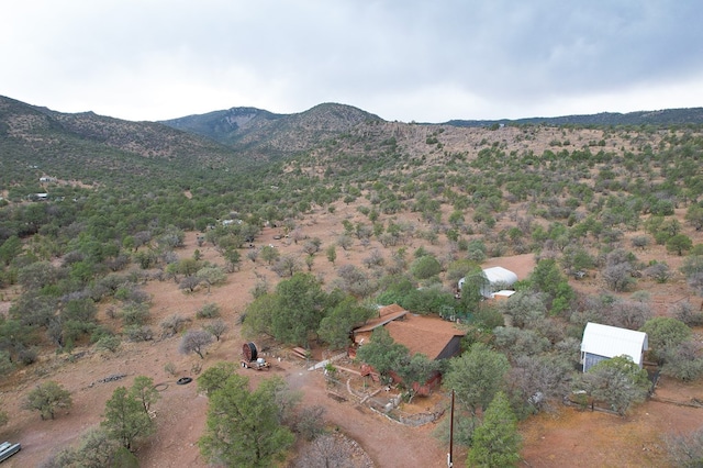 101 Stage Coach Pass, Fort Davis, TX 79734 - mountain view
