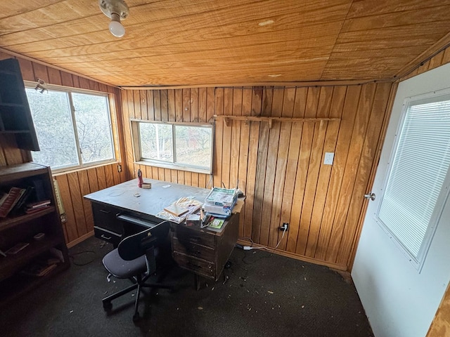 101 Stage Coach Pass, Fort Davis, TX 79734 - carpeted home office featuring wood ceiling and wood walls