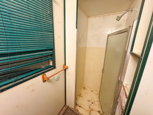 101 Stage Coach Pass, Fort Davis, TX 79734 - bathroom with walk in shower