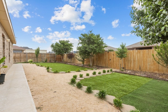 view of yard with a patio area and a fenced backyard