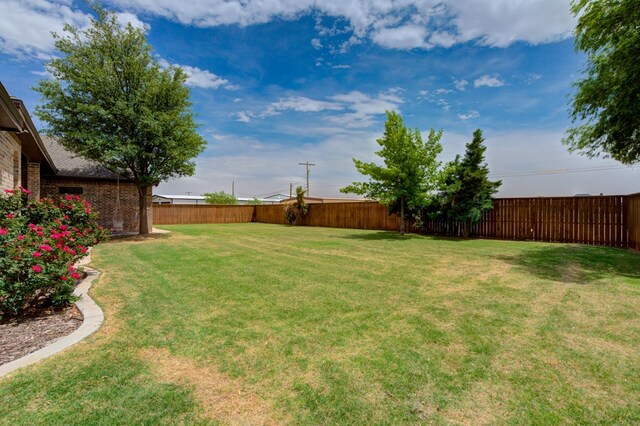 259 County Rd 304, Seminole, TX 79360 - view of yard
