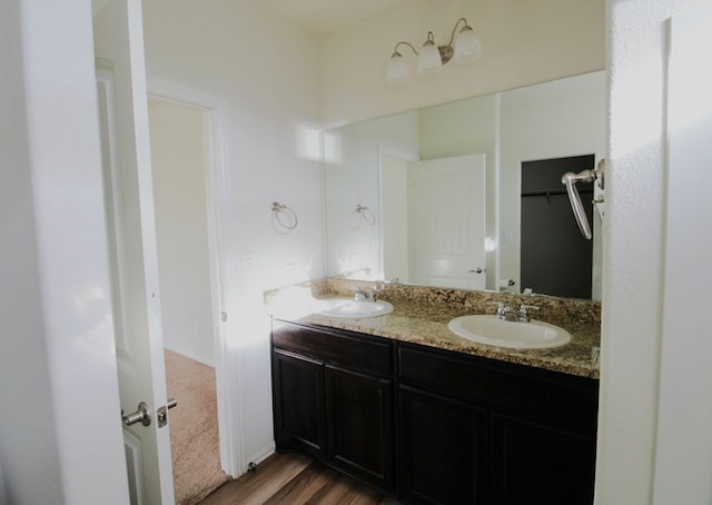 7319 W Pile Ranch Rd, Odessa, TX 79765 - bathroom with double vanity, wood finished floors, and a spacious closet