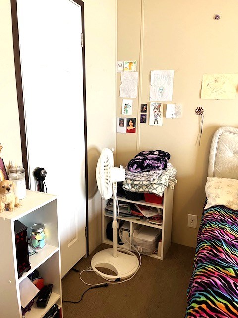 1319 S Broughton Ave, Odessa, TX 79761 - view of bedroom