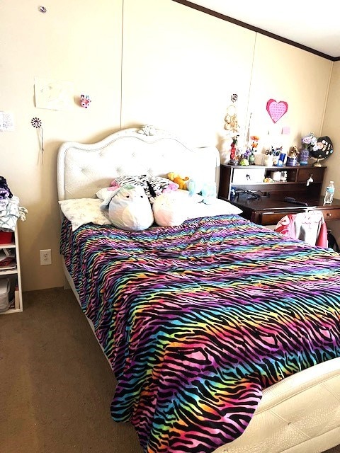 1319 S Broughton Ave, Odessa, TX 79761 - bedroom featuring carpet flooring