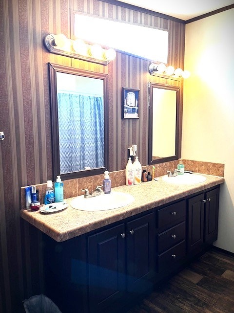 1319 S Broughton Ave, Odessa, TX 79761 - bathroom with wood finished floors and double vanity
