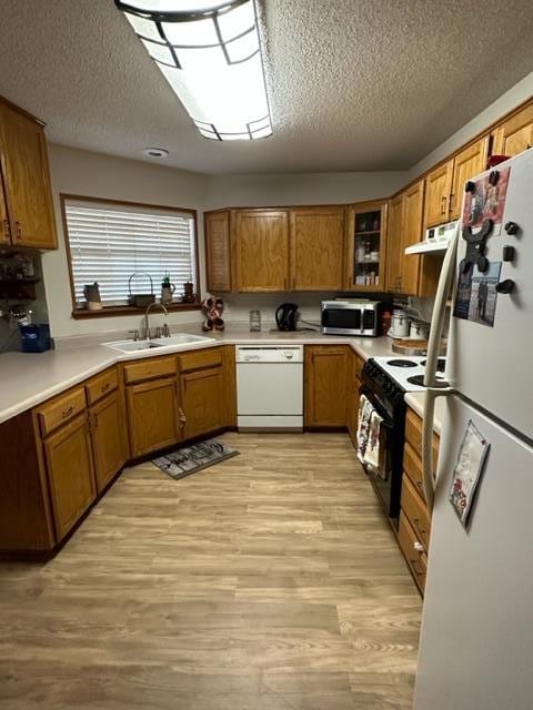 kitchen with light wood-type flooring, a textured ceiling, white appliances, and sink