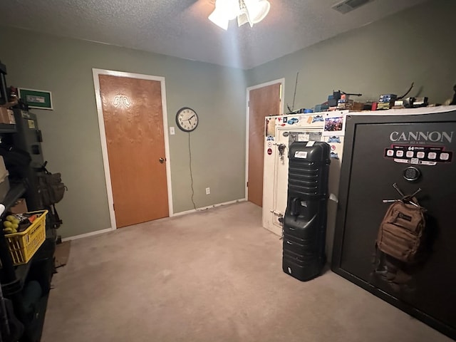 interior space featuring light carpet and a textured ceiling