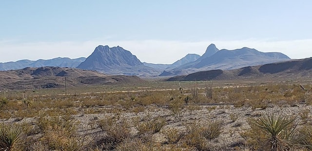 90 Ivy Rd, Terlingua TX, 79852 land for sale