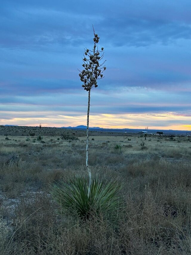 1820 Rabbit Rd, Marfa, TX 79843