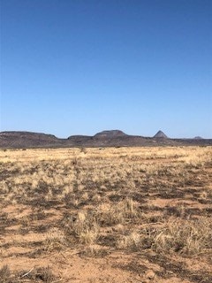 Tract26 Sendero Horse Thief, Alpine, TX 79830 - photo 4