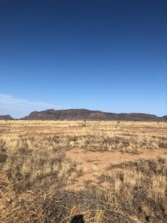 Tract26 Sendero Horse Thief, Alpine, TX 79830 - photo 3