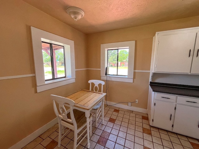 201 E Marfa Ave, Alpine, TX 79830 - photo 6