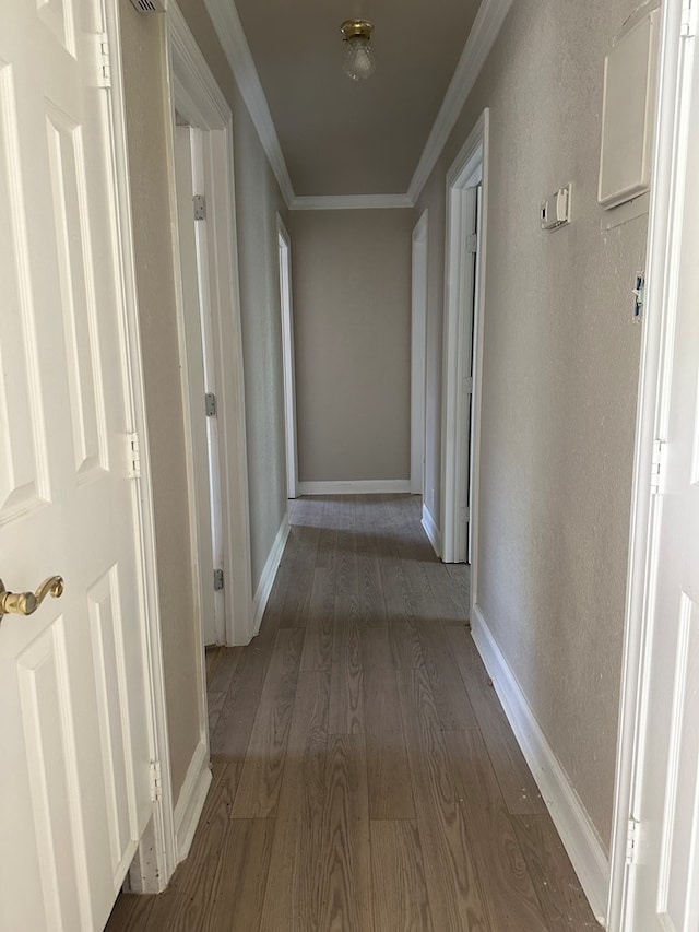 302 E Byrd St, Universal City, TX 78148 - hall with wood finished floors, crown molding, and baseboards