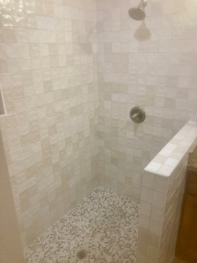 420 Santana Dr, Lajitas, TX 79852 - bathroom with a tile shower