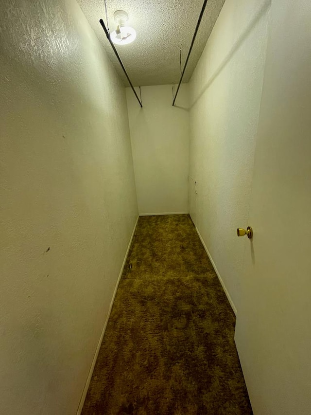 walk in closet featuring carpet flooring