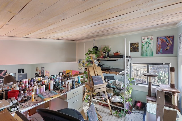 106 SE 4th St, Marathon, TX 79842 - miscellaneous room featuring ornamental molding and wood ceiling