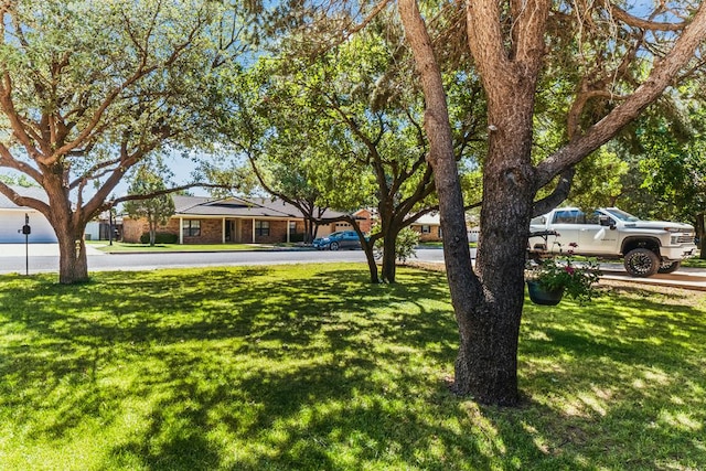 804 SW 10th St, Seminole, TX 79360 - photo 9
