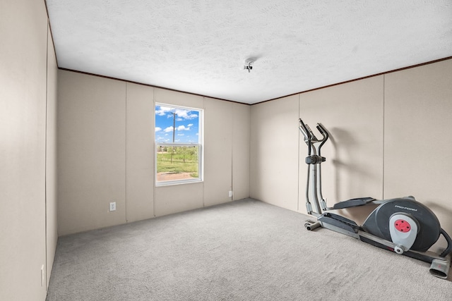 13109 W 57th St, Odessa, TX 79764 - photo 14