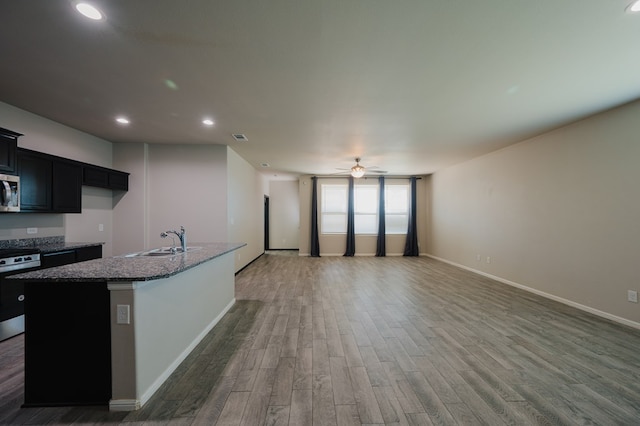 kitchen with wood finished floors, a ceiling fan, dark stone countertops, a sink, and stainless steel appliances