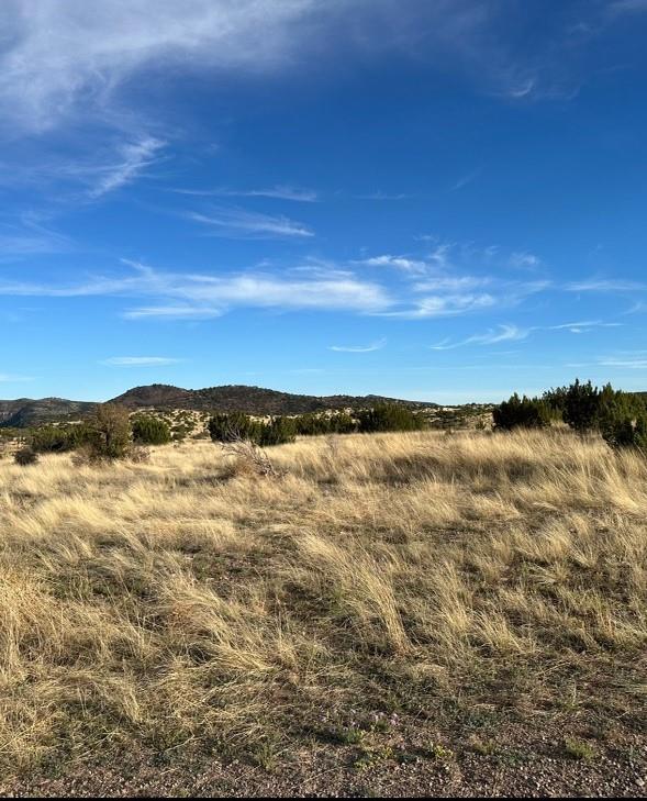 Listing photo 2 for 112 Scenic Ridge Dr S, Alpine TX 79830