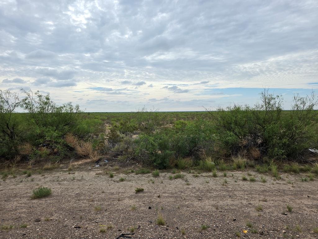 UNKNOWN Tbd, Pecos, TX 79772 - photo 1