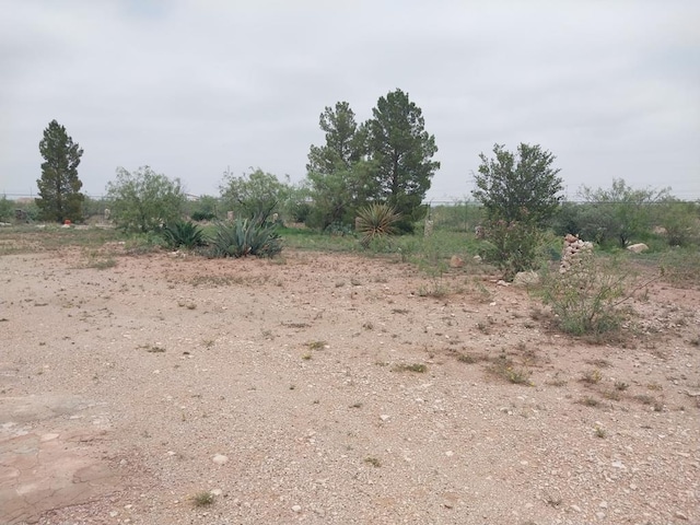 955 S Knox Ave, Odessa, TX 79763 - photo 10