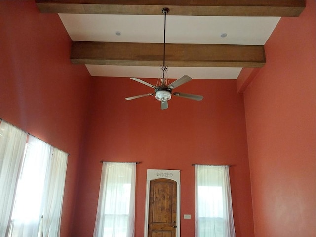 955 S Knox Ave, Odessa, TX 79763 - photo 34