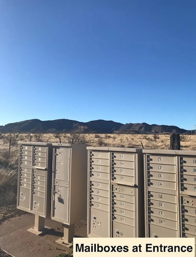 104 Low Meadow Pt, Fort Davis, TX 79734 - view of home's community with a mountain view and mail area