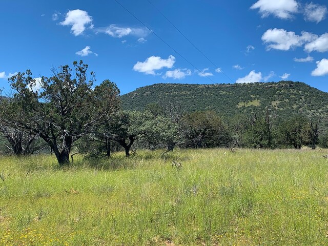 104 Low Meadow Pt, Fort Davis, TX 79734 - view of mountain feature