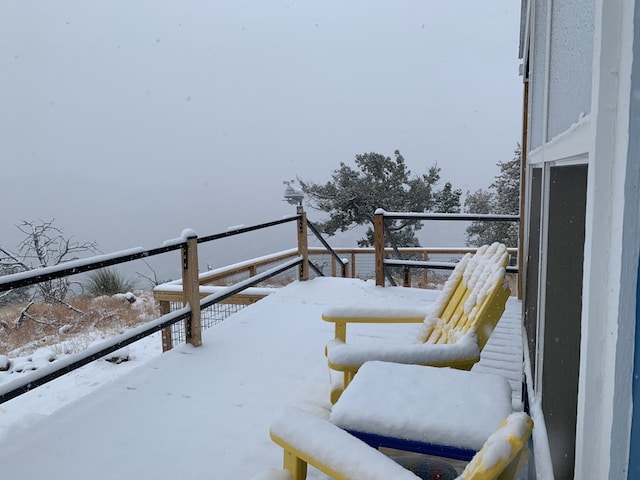 104 Low Meadow Pt, Fort Davis, TX 79734 - view of snow covered back of property