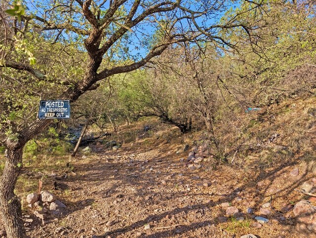 203 Stage Coach Pass, Fort Davis, TX 79734 - photo 2