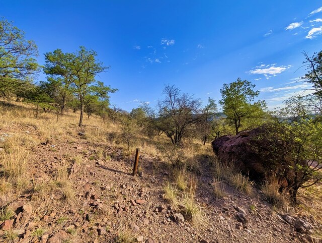 203 Stage Coach Pass, Fort Davis, TX 79734 - photo 6