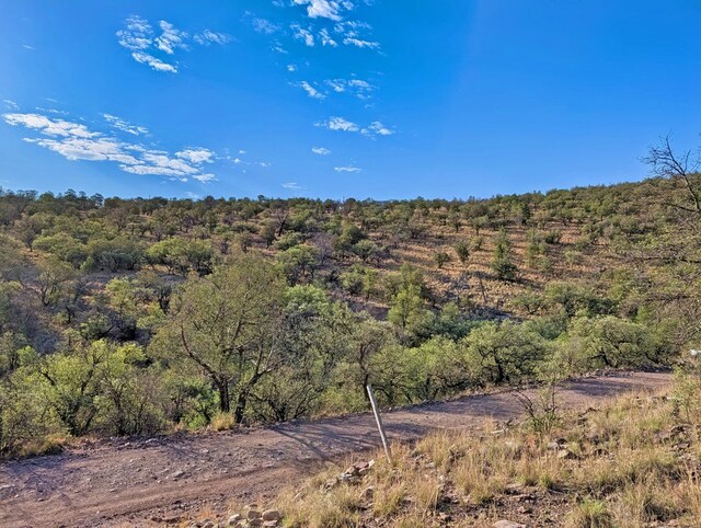 203 Stage Coach Pass, Fort Davis, TX 79734 - photo 10