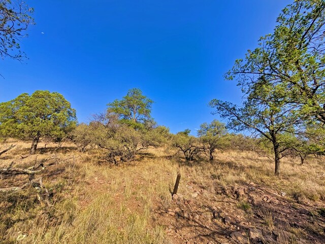 203 Stage Coach Pass, Fort Davis, TX 79734 - photo 3