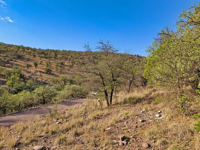 203 Stage Coach Pass, Fort Davis, TX 79734 - photo 11