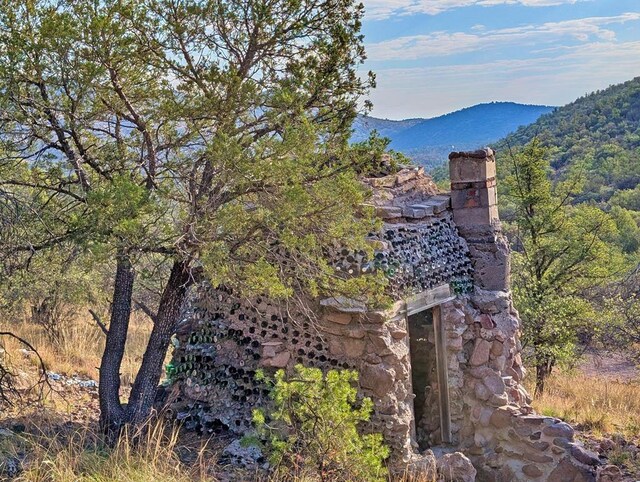 203 Stage Coach Pass, Fort Davis, TX 79734 - photo 1