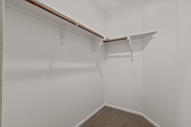 walk in closet featuring dark carpet