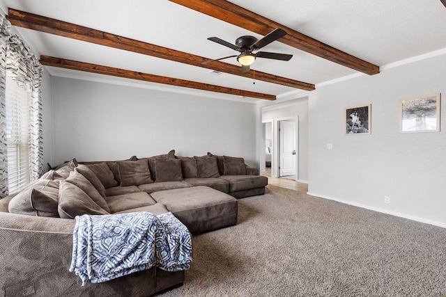 carpeted living room featuring ceiling fan and beam ceiling