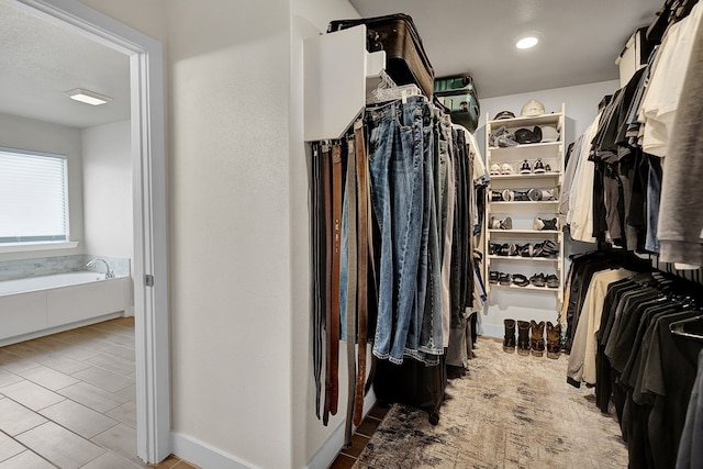 view of spacious closet