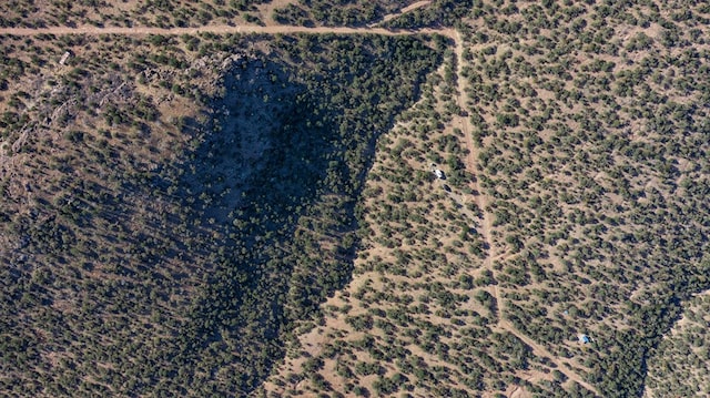 106 Whiskey Run Run, Fort Davis, TX 79734