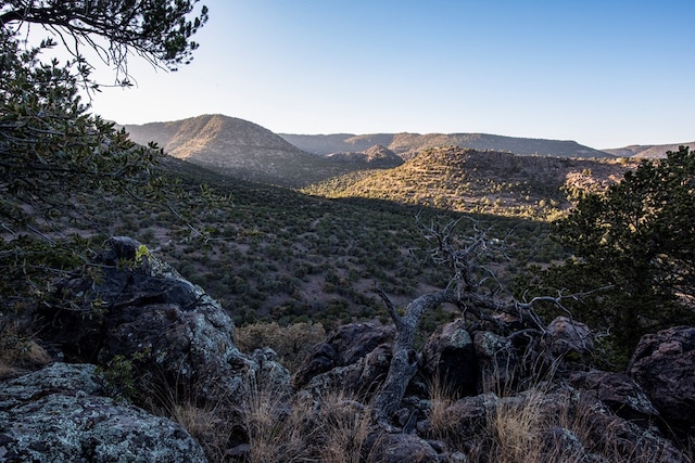106 Whiskey Run Run, Fort Davis, TX 79734